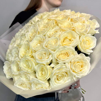 51 белая Роза премиум
