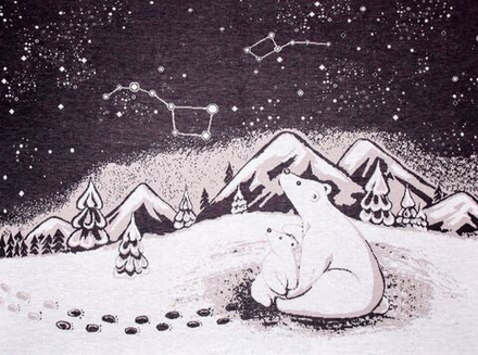 Плед "Мишки на Севере" МПД043