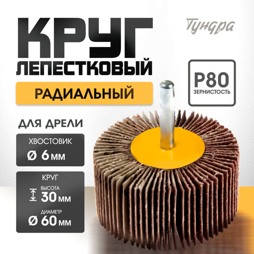 Круг лепестковый радиальный ТУНДРА, 60×30×6 мм, Р80