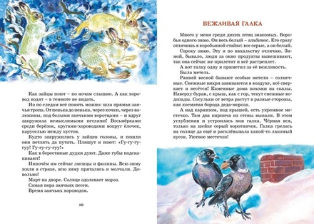 Лесные тайнички. Сладков Н. И.