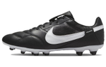 Кроссовки Nike Premier3 Fg
