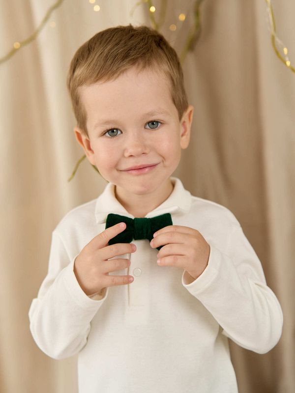 Галстук-бабочка 