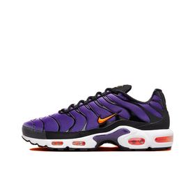 Мужские кроссовки Nike Air Max Plus OG 'Voltage Purple' DX0755‑500