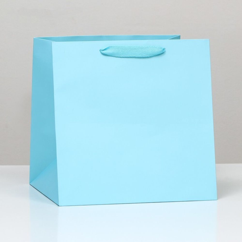 Пакет под торт, голубой, 30 х 30 х 30 см