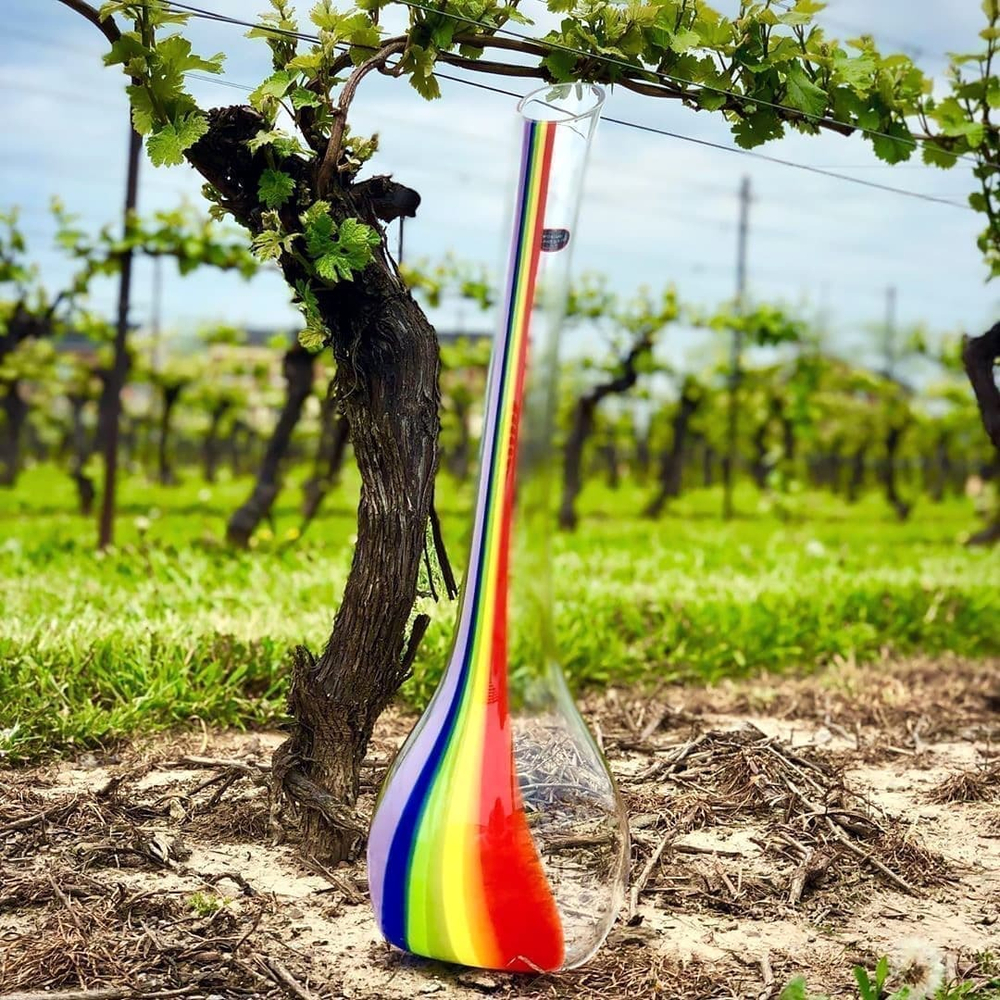 Хрустальный декантер ручной работы 3000 мл Cornetto Rainbow Double Magnum Riedel
