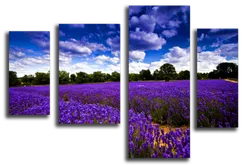 Модульная картина "Поле лаванды"
