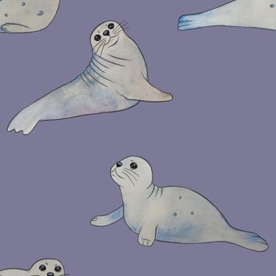 милые акварельные тюлени