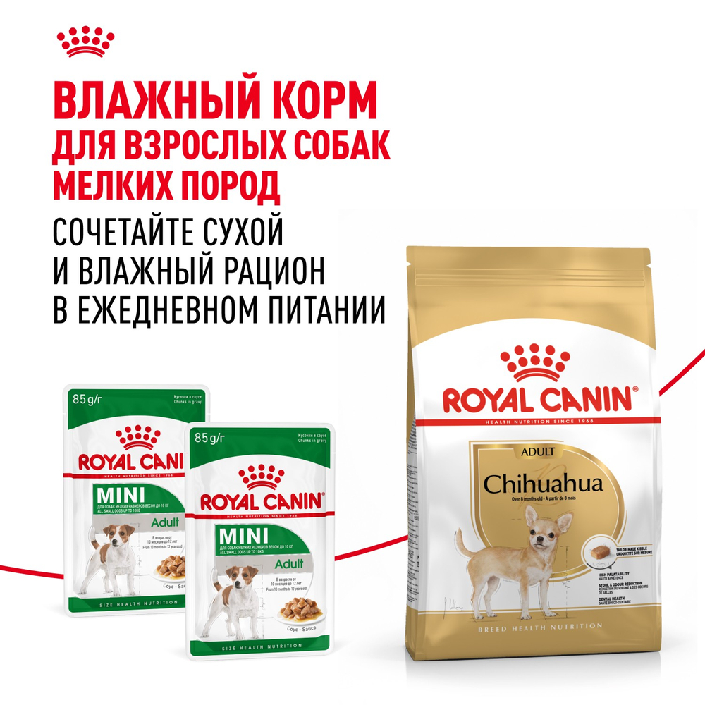 Royal Canin Chihuahua Adult Чихуахуа Эдалт Корм сухой для взрослых собак породы Чихуахуа от 8 месяцев 1,5кг