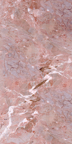 Ветка Сакуры