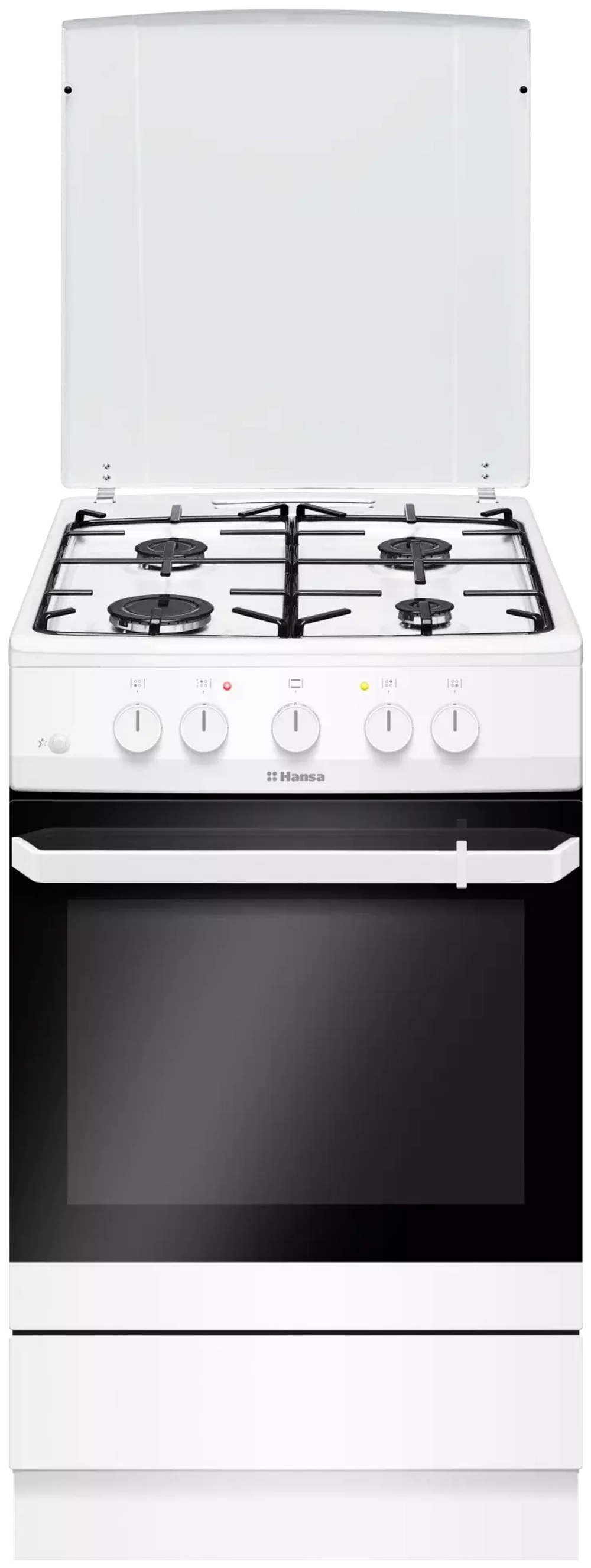 Комбинированная плита Hansa FCMW53010
