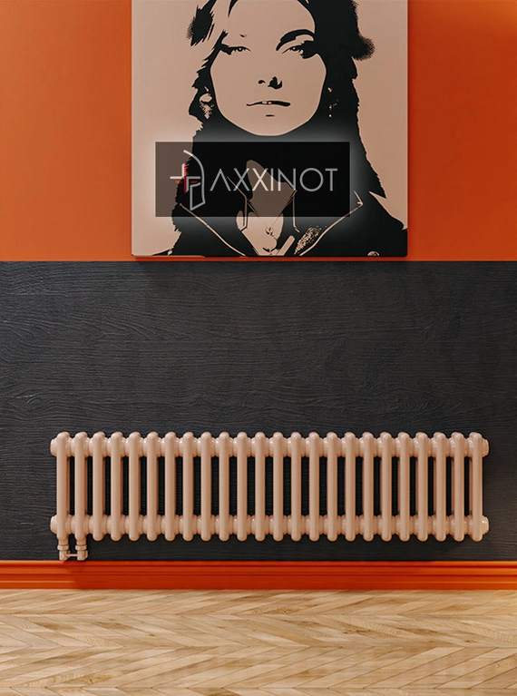 Axxinot Sentir 2020 - двухтрубный трубчатый радиатор высотой 200 мм, нижнее подключение