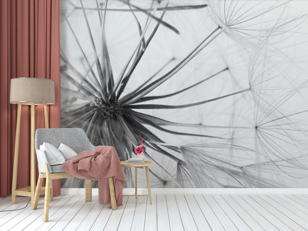 Обои одуванчик