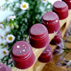 86 | Форма для шоколадных изделий (275*135 мм)