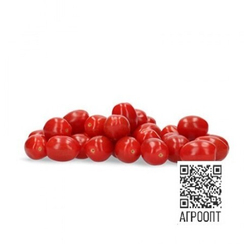 Расбора F1 семена томата (Rijk Zwaan / Райк Цваан)