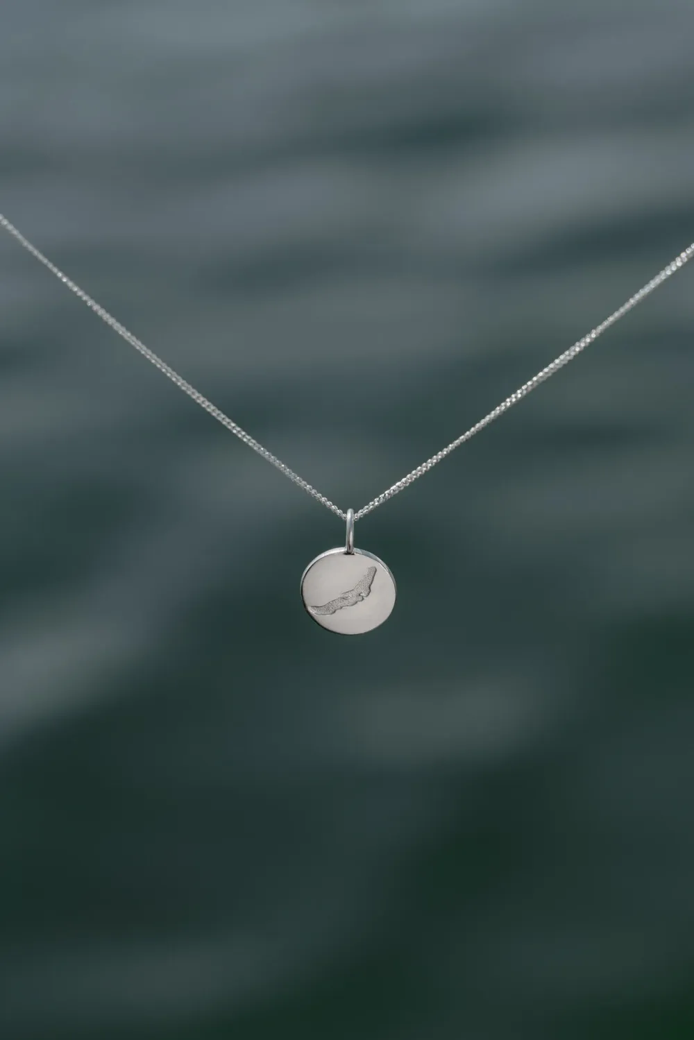 Медальон Байкал