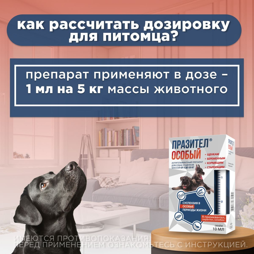 Суспензия от гельминтов для собак и щенков от 5 до 25 кг Празител Особый, 10мл. Празиквантел/Пирантел/Экстракт расторопши