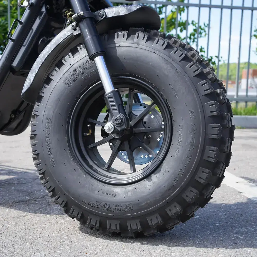 EcoMoto Lion Off-Road E1200W Back Edition