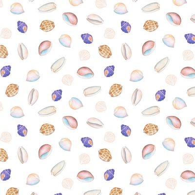 Акварельный паттерн из морских ракушек на белом фоне