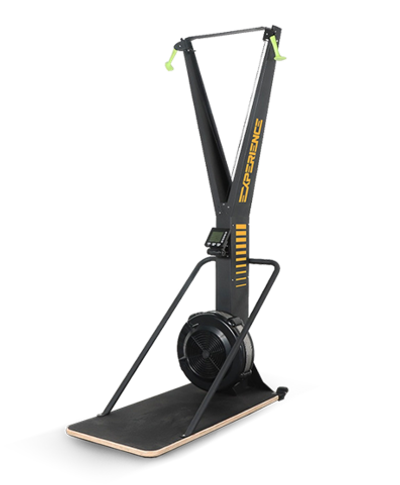 Лыжный тренажер Hasttings EXPIRIENCE SKIERG