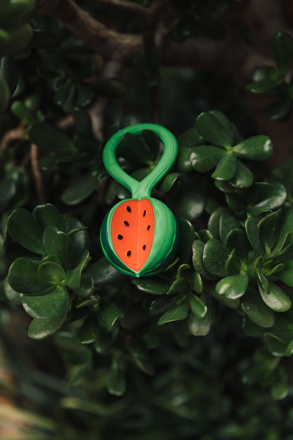 Watermelon Rattle Toy, погремушка