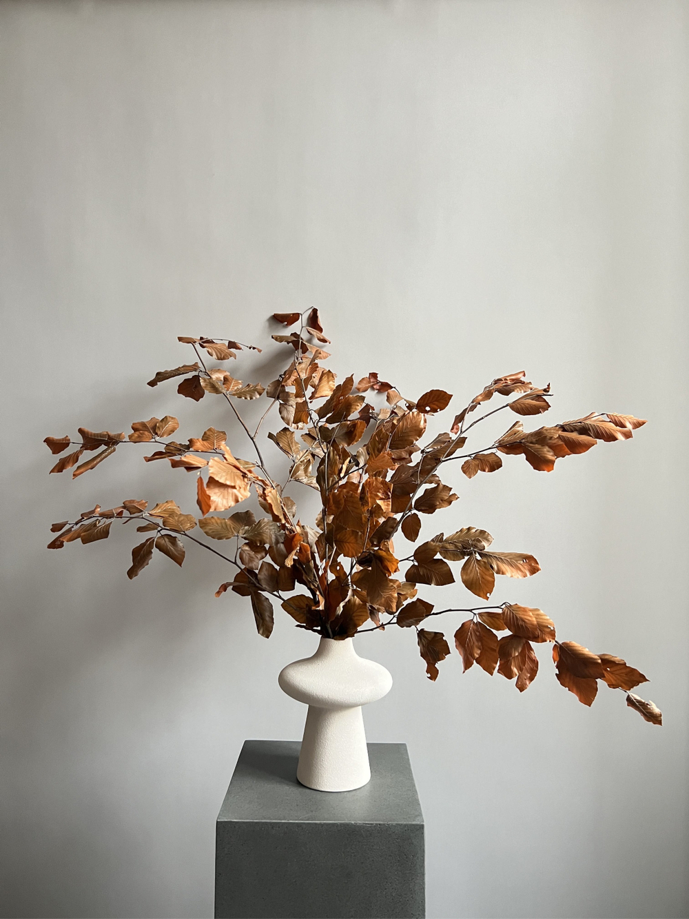 Бук стабилизированный оранжевый