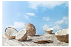 Тарелка обеденная Bordallo Pinheiro Тропические фрукты Кокос 27.5см