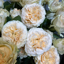 Букет"Саммер"(кустовая роза)