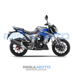 Мотоцикл Regulmoto T-Leopard 300
