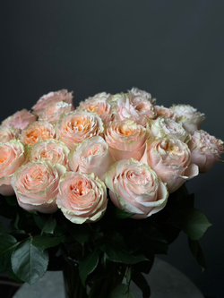 Розы поштучно «Princess crown» (Эквадор)