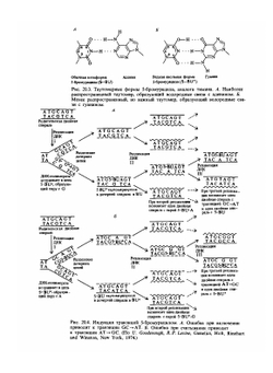 Современная генетика. Том 3 | Ф. Айала; Д. Кайгер