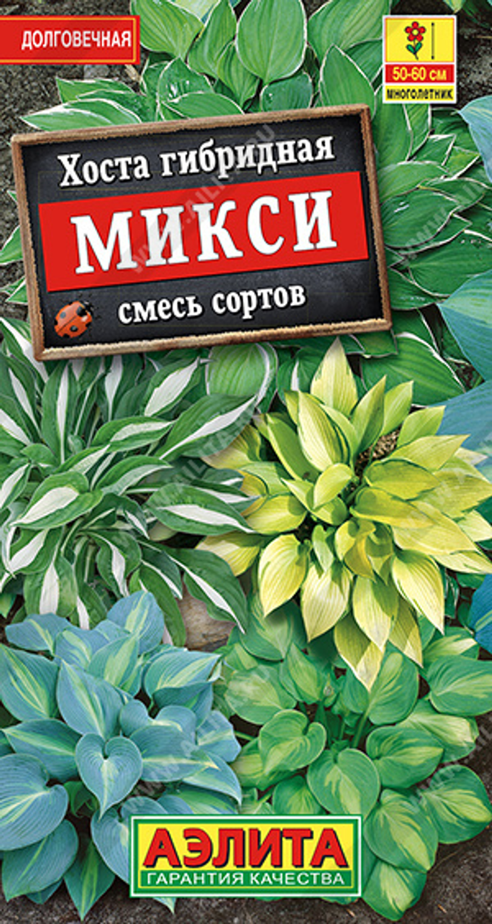 Хоста Микси, смесь окрасок 7шт Аэлита