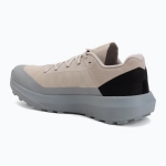 Кроссовки для бега Arcteryx Norvan LD 4 rune/void lt