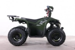 Электроквадроцикл Green Camel Гоби K90 (48V 750W R7 Дифференциал) Tao LUX
