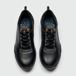 Кроссовки ECCO Biom C Black