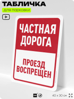 Табличка для парковки "Частная дорога, проезд воспрещен", для дома, офиса, организаций, 40х30 см, Silver Plane x Айдентика Технолоджи