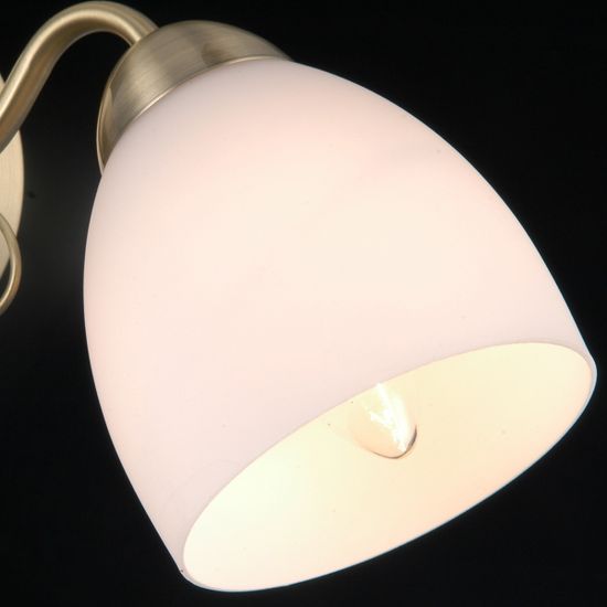 IL0333-3CSQ-79 AB светильник потолочный