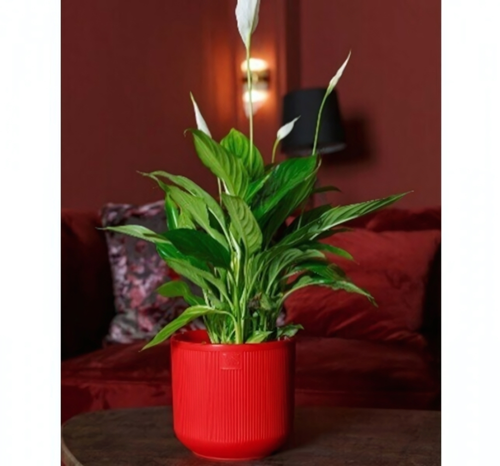 Горшок с дренажной системой РОССИ VipSet 1,9л красный