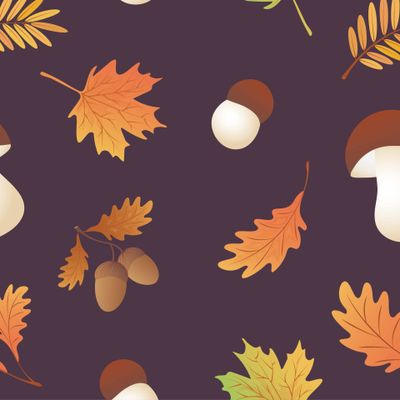 Белые грибы и осенние листья.