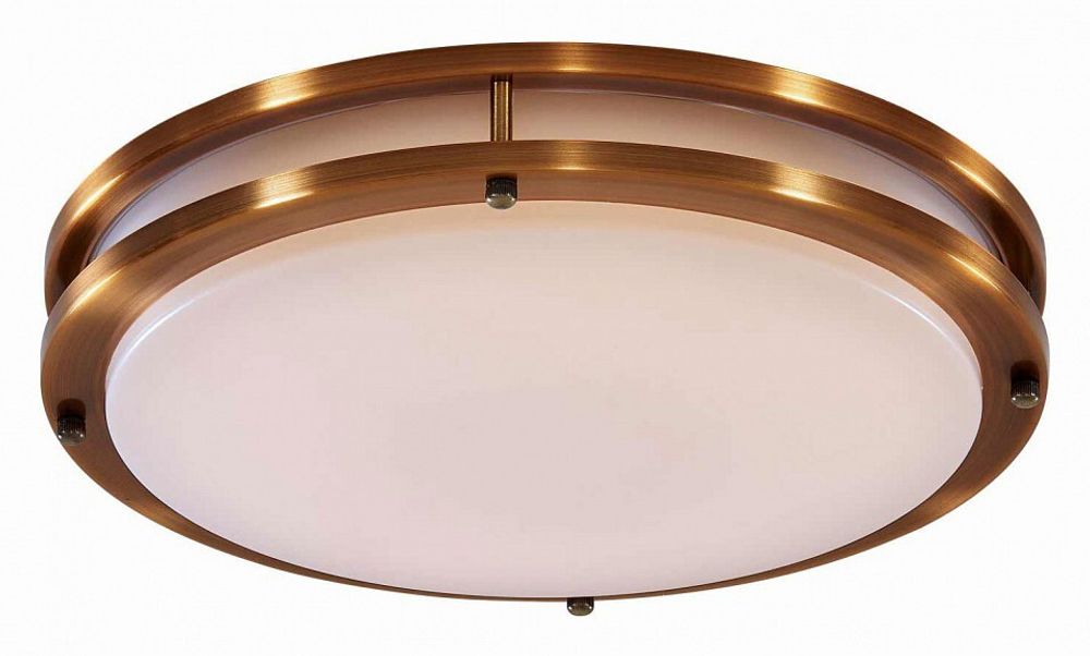 Накладной светильник Citilux Бостон CL709323N