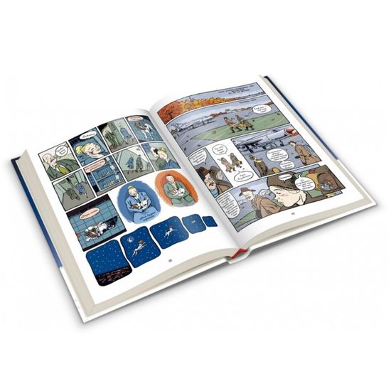 Комикс Лайка