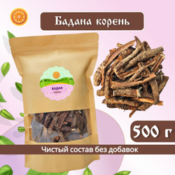 Бадан корень.