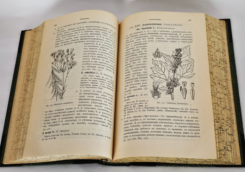 "Флора Средней России. Иллюстрированное руководство к определению среднерусских семенных и сосудистых споровых растений". П.Ф. Маевский, доп. Д.И. Литвиновым. 1917 г.