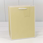 Пакет подарочный 18х23х10см Премиум однотонный в рамке (Микс)