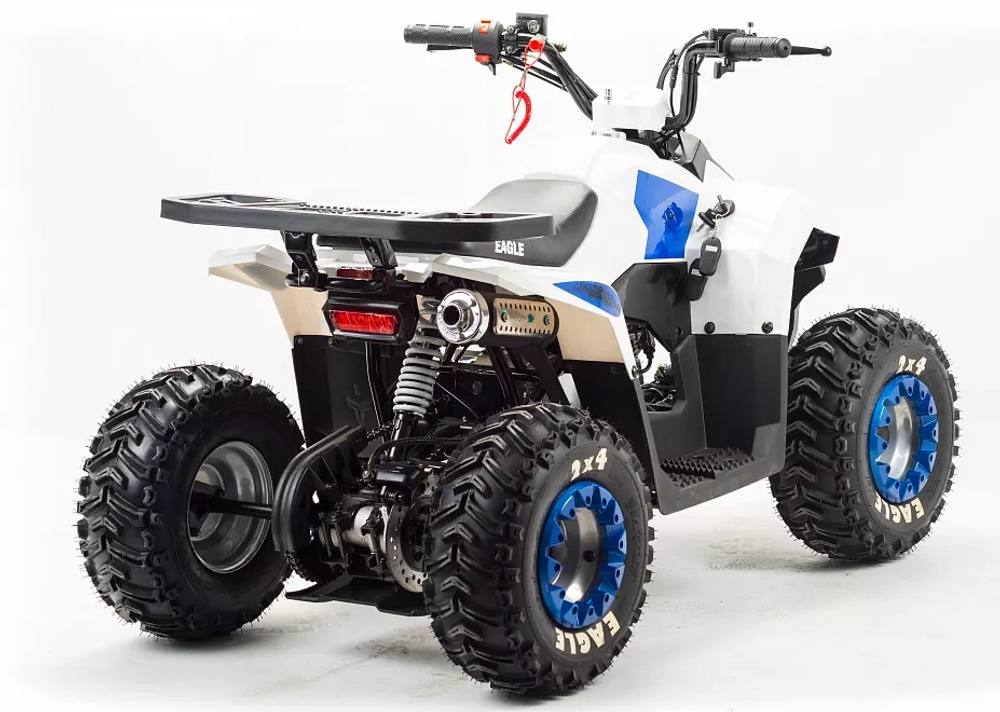 Квадроцикл MOTOLAND (МОТОЛЕНД) 110 EAGLE