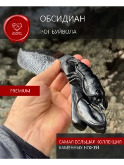 Лобстер Рог черного буйвола 37 см