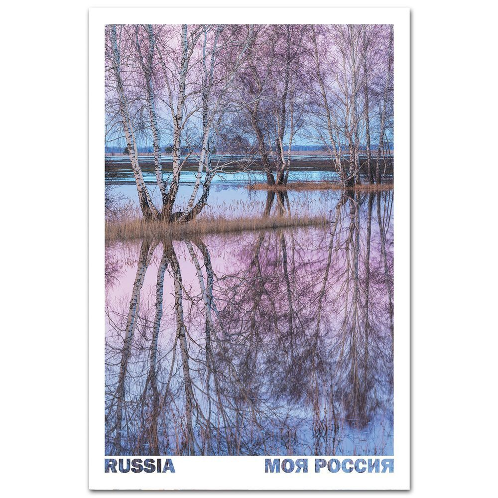 Половодье. Окрестности города Новоалтайск, Алтайский край