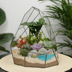 Готовый флорариум с суккулентами Hill с озером