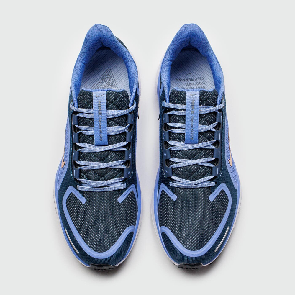 Кроссовки Nike Pegasus 41 Gtx Cobalt