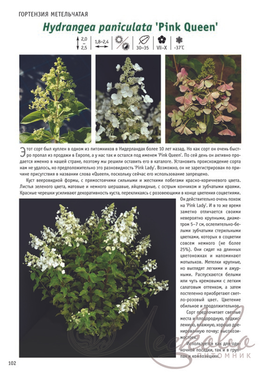 Гортензия. Каталог сортов (2-е издание, дополненное, переработанное)