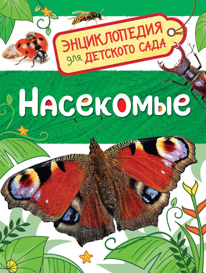 Насекомые